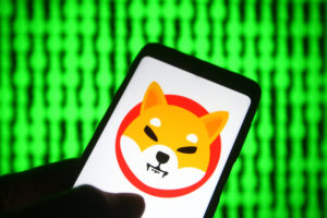 Top Alternatives To Shiba Inu Cryptocurrency After It Crashed 50%