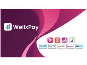 WellxPay: A reliable payment gateway which makes international payments simpler, faster and more efficient